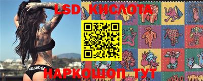 марки lsd Новозыбков