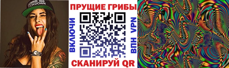 Галлюциногенные грибы Psilocybe  цены   Чебоксары 