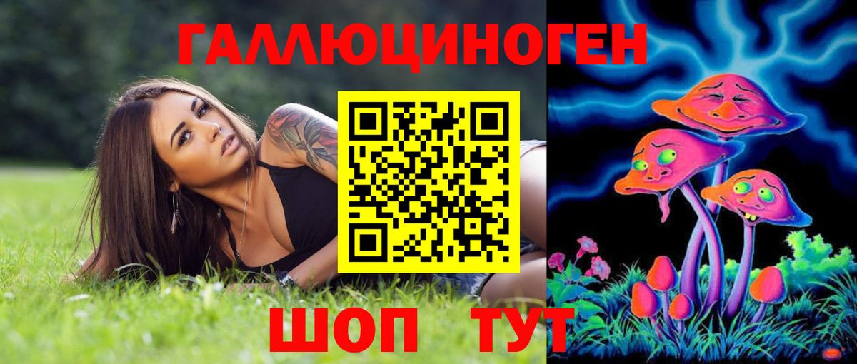 Псилоцибиновые грибы мухоморы Чебоксары